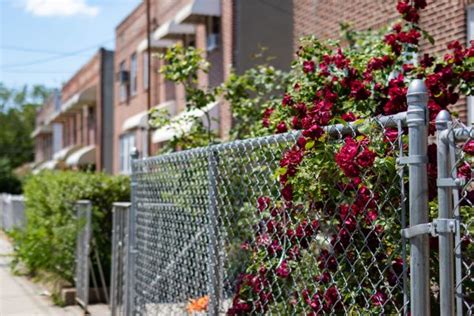 St. Louis Public Schools starting chain-link fencing replacement today